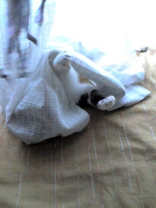 Thumbnail of post image 094