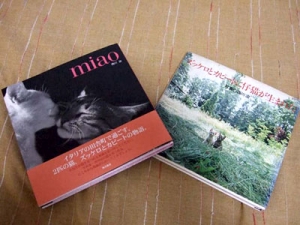 Thumbnail of post image 048