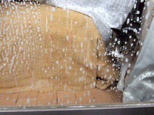 Thumbnail of post image 013