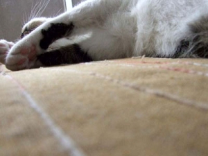Thumbnail of post image 033