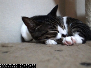 Thumbnail of post image 020
