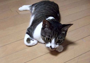 Thumbnail of post image 178