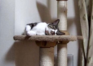 Thumbnail of post image 037