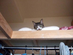 Thumbnail of post image 023