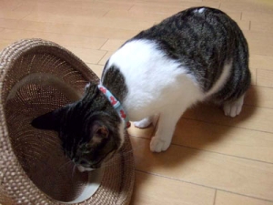 Thumbnail of post image 096
