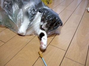Thumbnail of post image 093