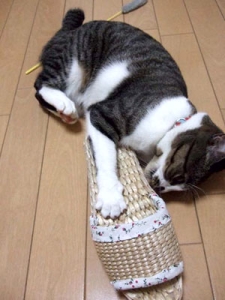 Thumbnail of post image 001
