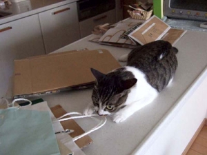 Thumbnail of post image 152