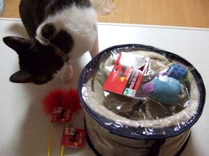 Thumbnail of post image 070