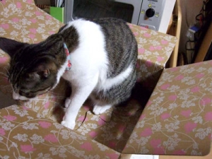 Thumbnail of post image 029