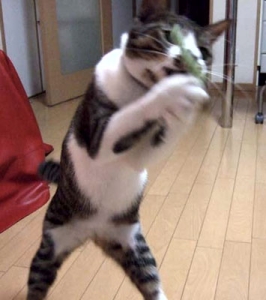 Thumbnail of post image 142