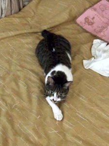 Thumbnail of post image 190