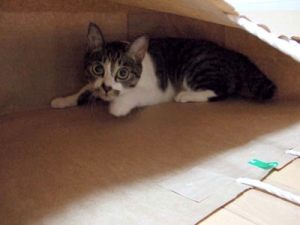 Thumbnail of post image 095