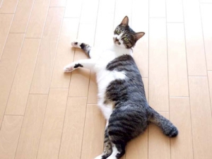 Thumbnail of post image 080
