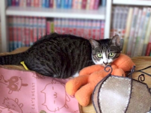 Thumbnail of post image 065