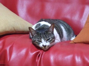 Thumbnail of post image 074