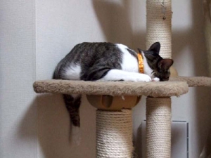 Thumbnail of post image 062