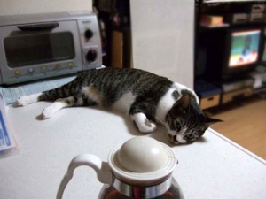 Thumbnail of post image 097