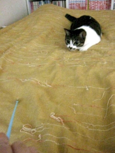 Thumbnail of post image 048