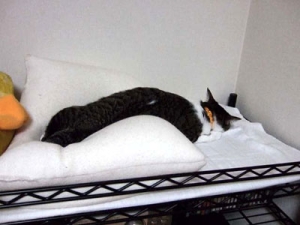 Thumbnail of post image 076