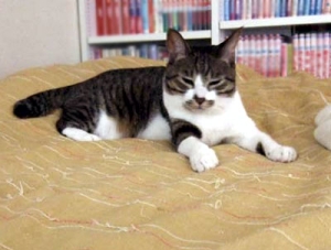 Thumbnail of post image 085