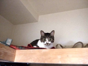 Thumbnail of post image 142