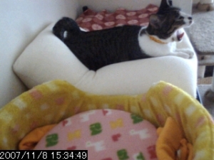 Thumbnail of post image 019