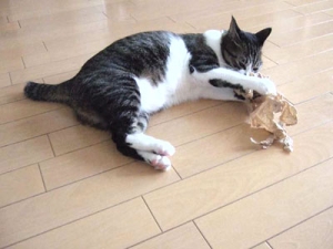 Thumbnail of post image 122