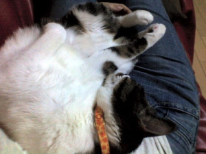 Thumbnail of post image 168