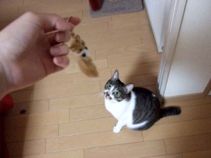 Thumbnail of post image 132