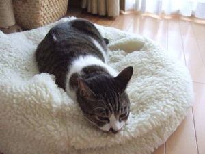 Thumbnail of post image 128
