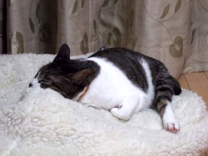 Thumbnail of post image 131