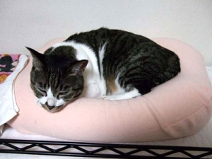 Thumbnail of post image 068