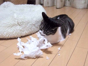 Thumbnail of post image 114