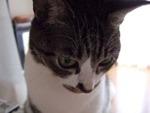 Thumbnail of post image 122