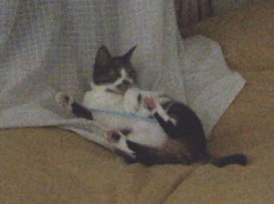 Thumbnail of post image 091