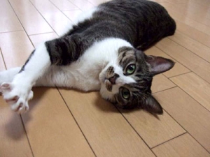 Thumbnail of post image 019