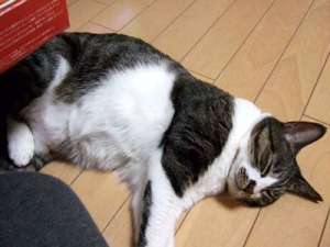 Thumbnail of post image 007