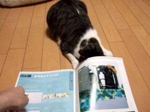 Thumbnail of post image 150