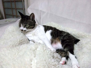 Thumbnail of post image 138
