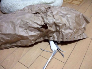 Thumbnail of post image 090