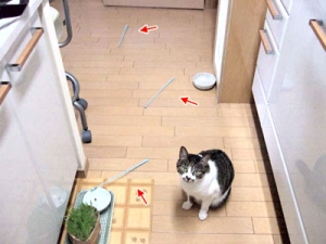 Thumbnail of post image 042