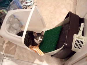 Thumbnail of post image 079