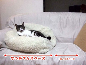 Thumbnail of post image 178