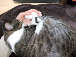 Thumbnail of post image 123