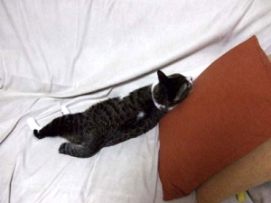Thumbnail of post image 042