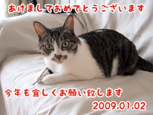 Thumbnail of post image 005