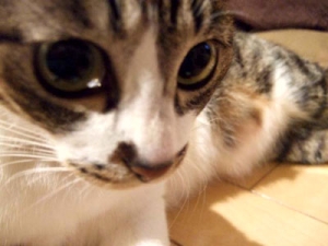 Thumbnail of post image 173