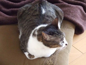 Thumbnail of post image 124