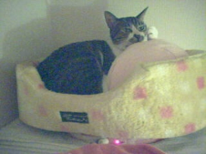 Thumbnail of post image 149